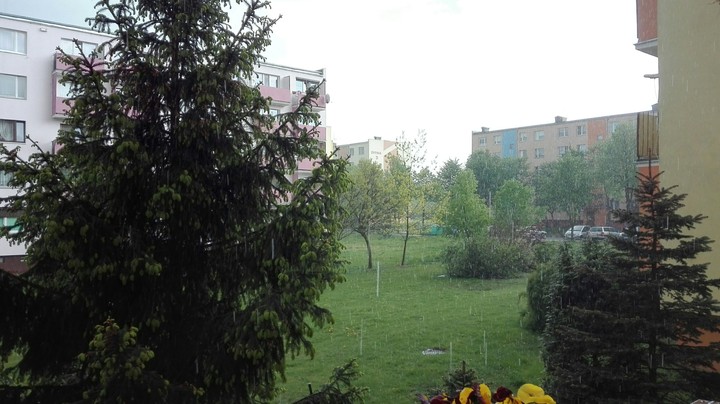 First rain