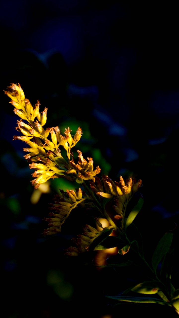Colors within