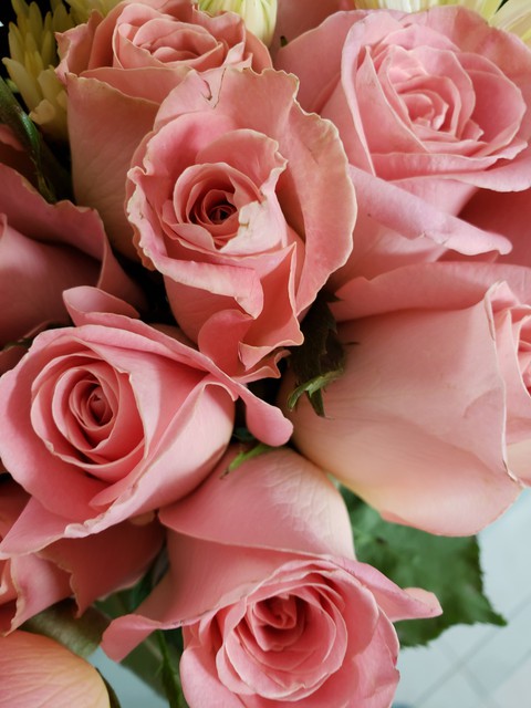 #rosas#pink#flores