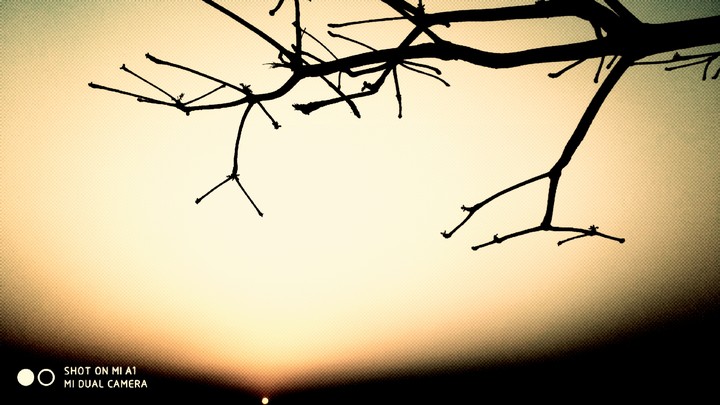 lensography