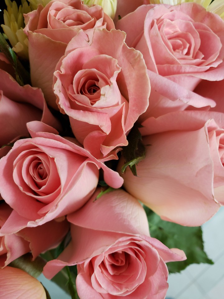 #rosas#pink#flores
