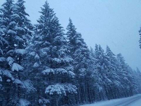 winter