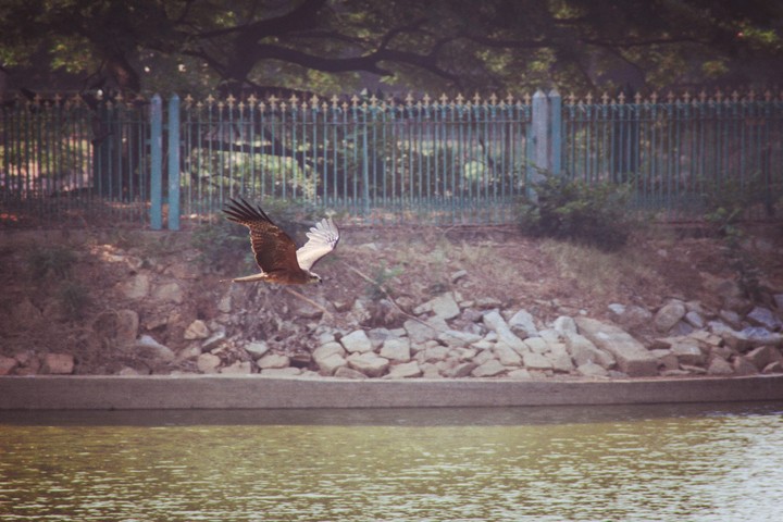 Stretch Your Wings and Fly