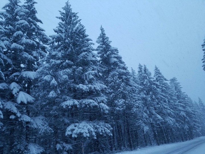 winter