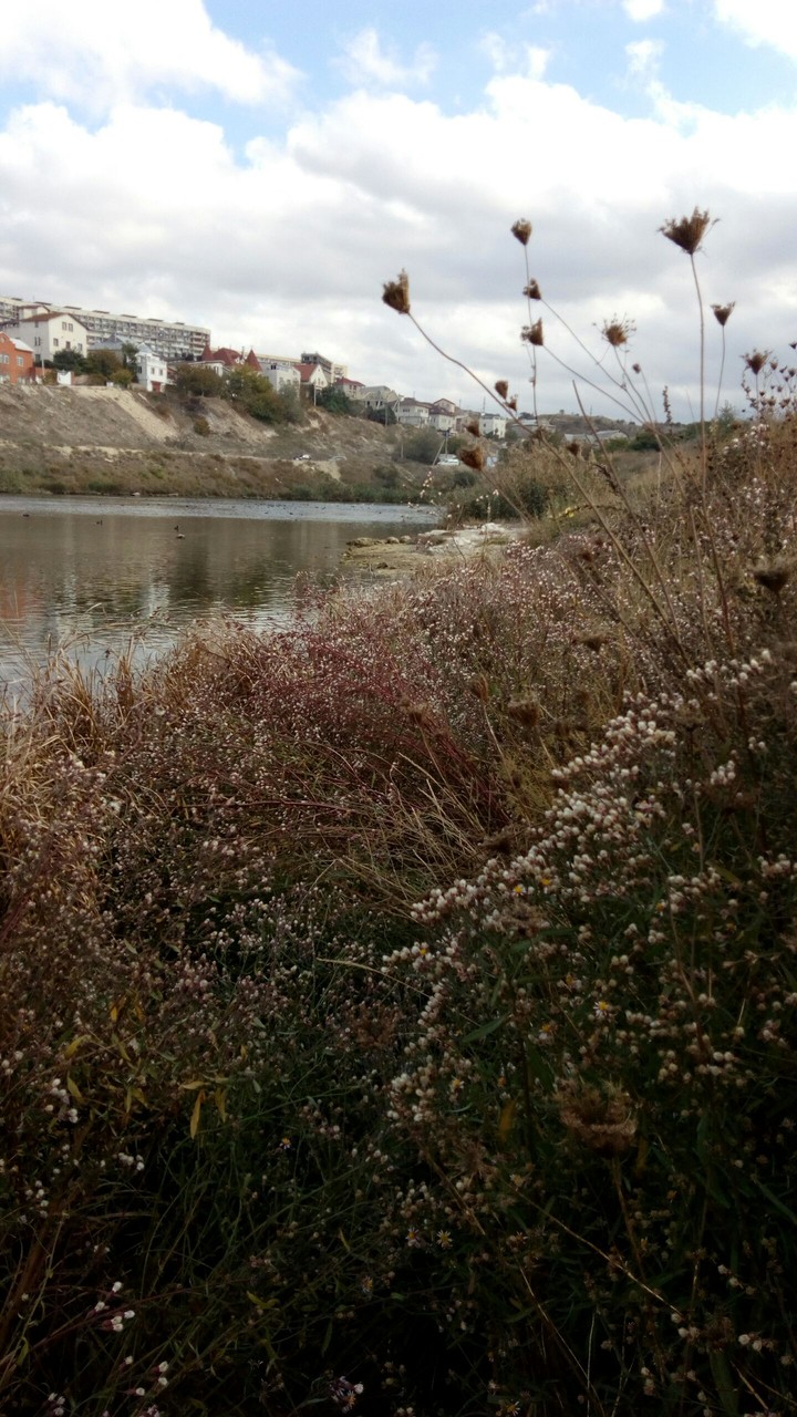 море
