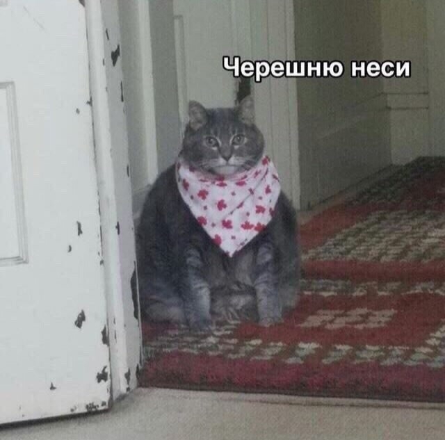 .