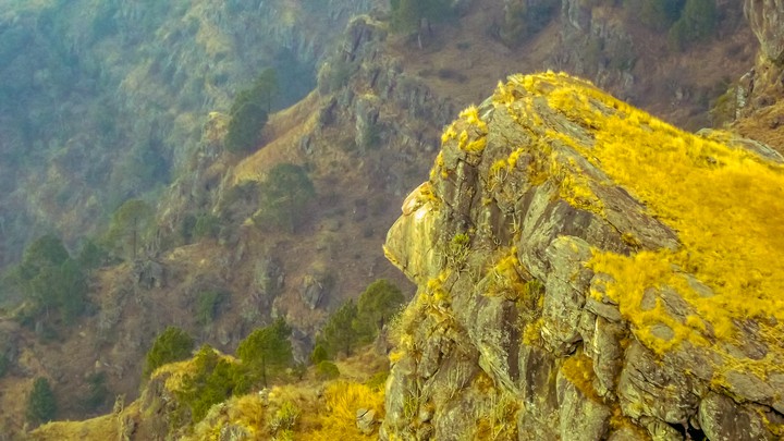 Gorilla Peak