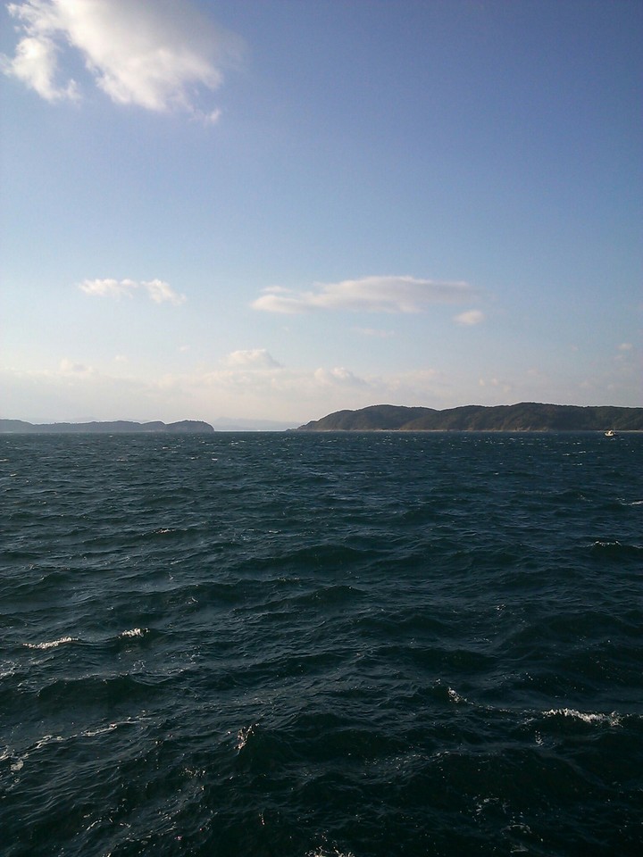 海！