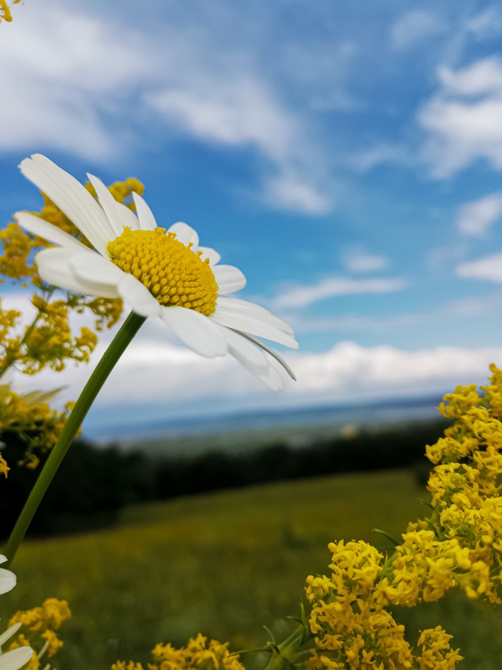 Simplicity of nature