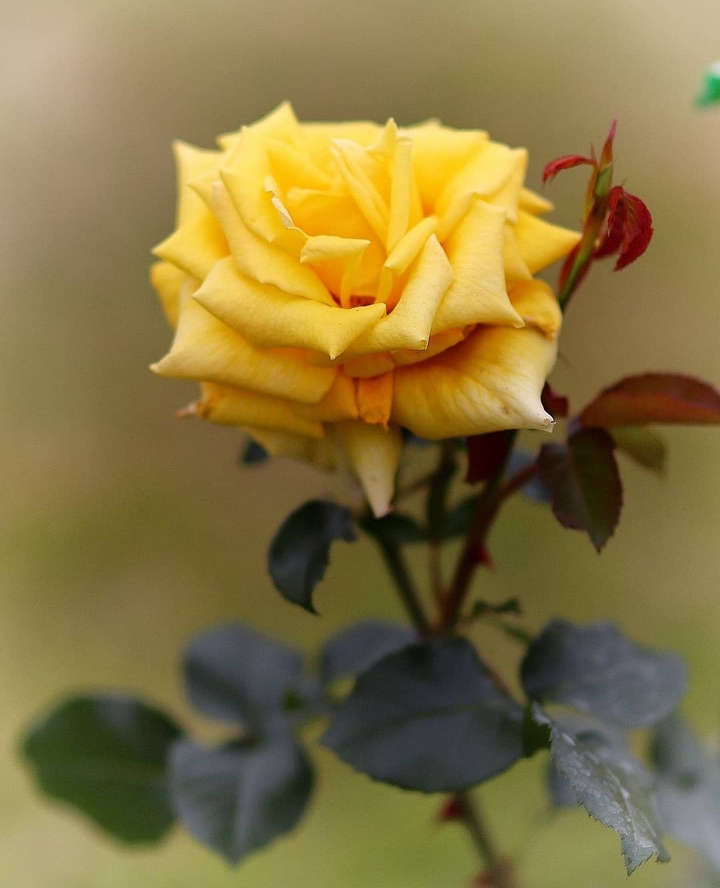beauty...