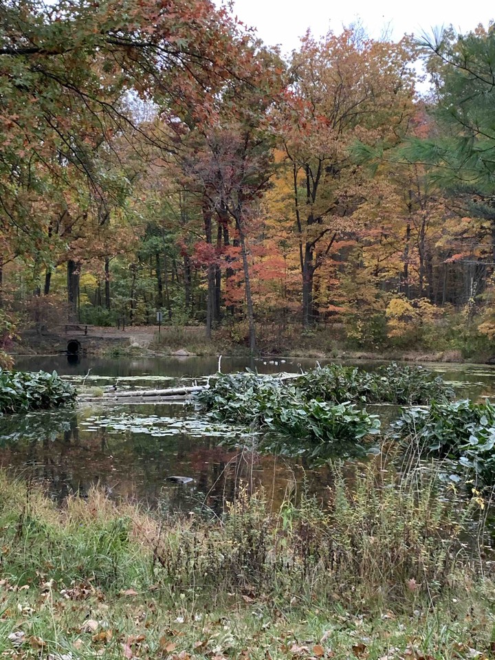 peak season