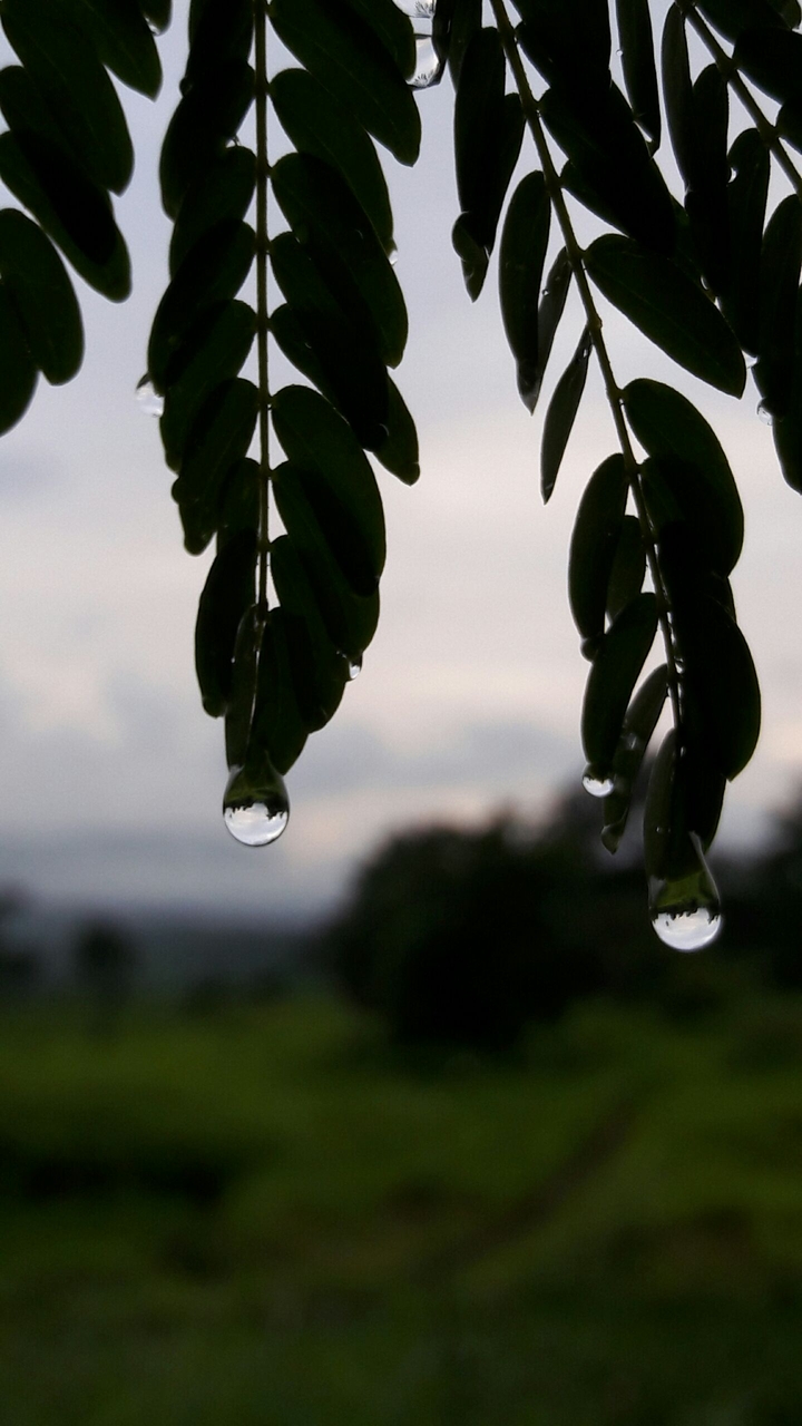 droplet