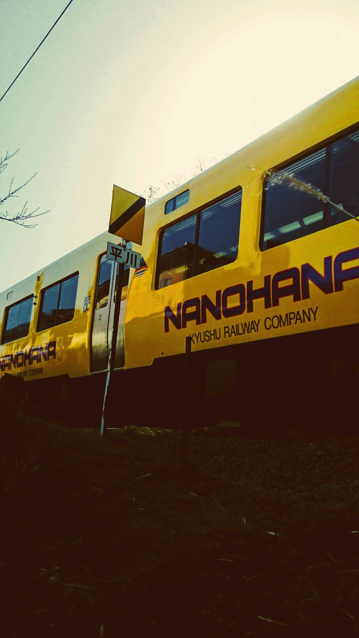 trein
