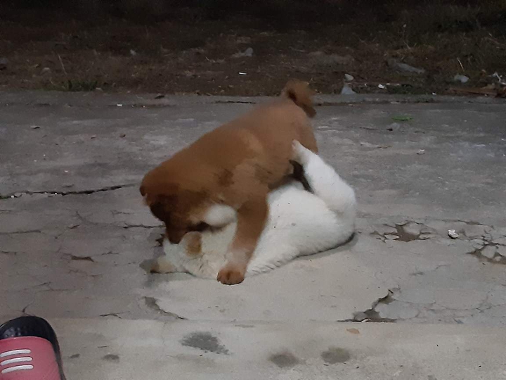 티격태격