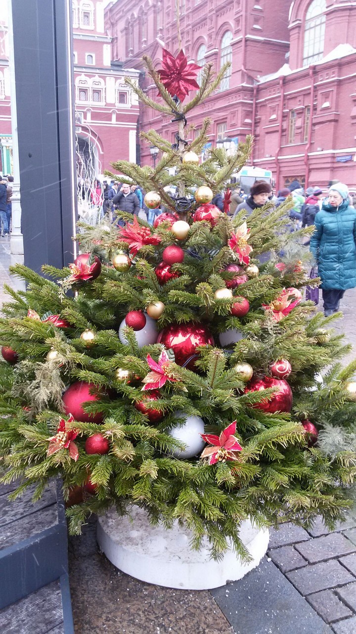 tree