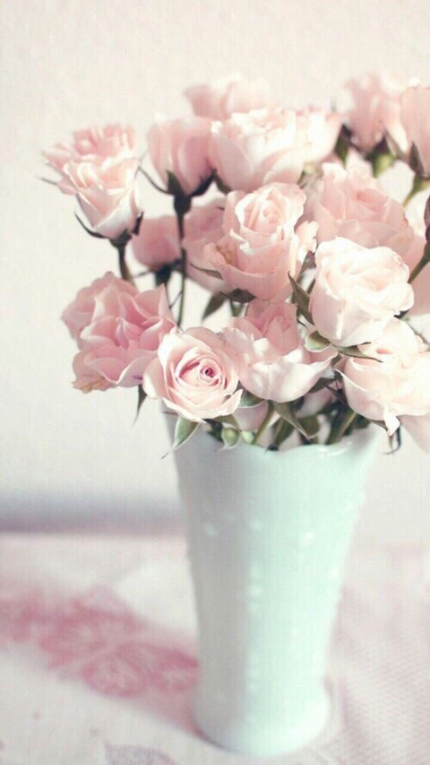 тапети pink, flower