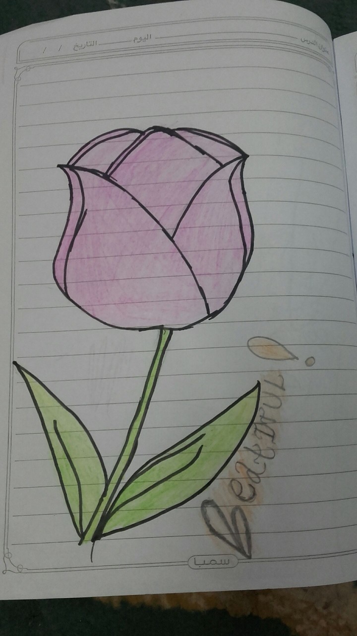 rose