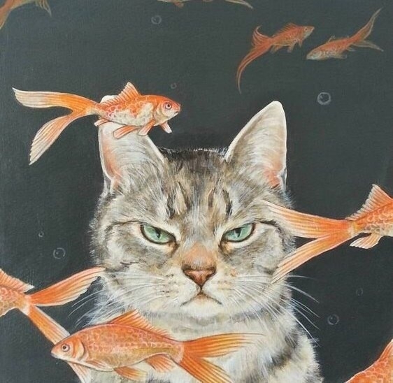 sad cat