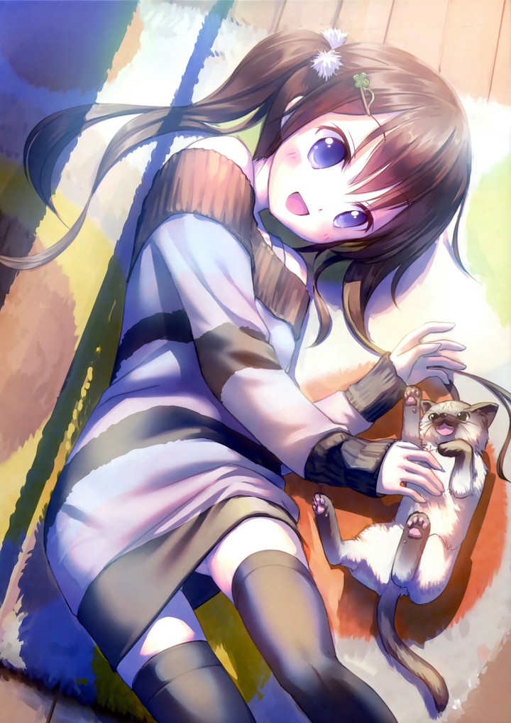 Kogemashita 33