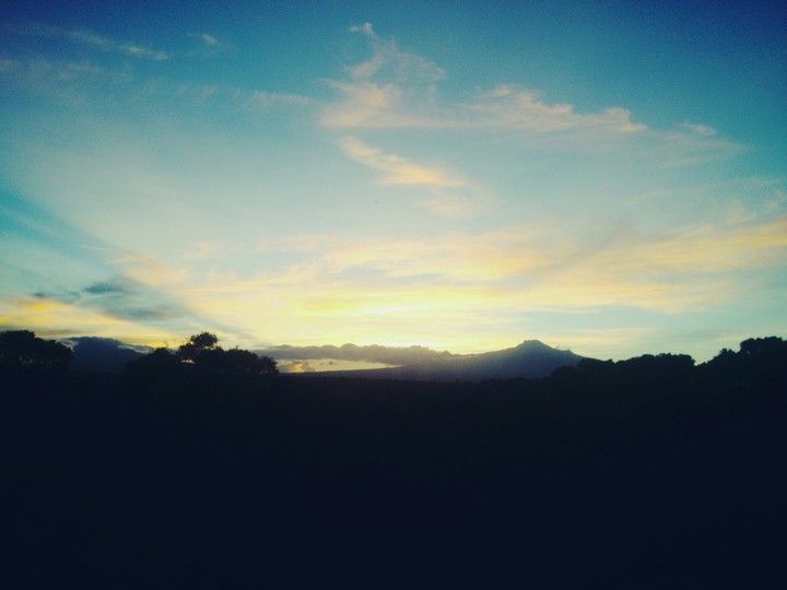 Landscape