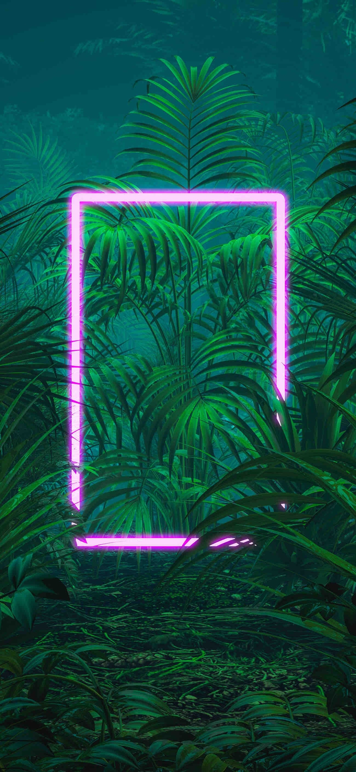 Jungle