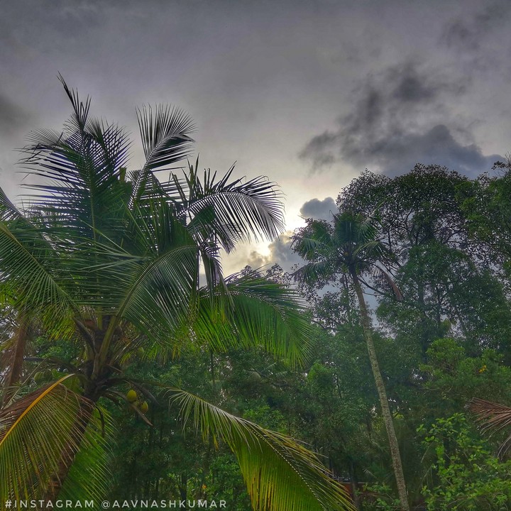 moody morning