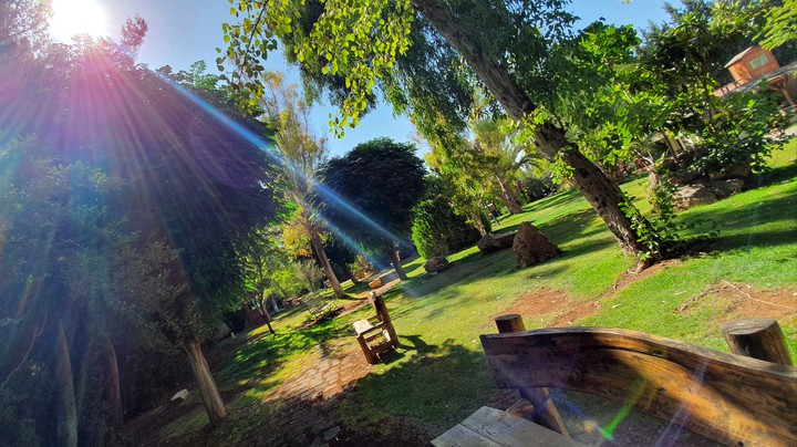 Wonderful Garden