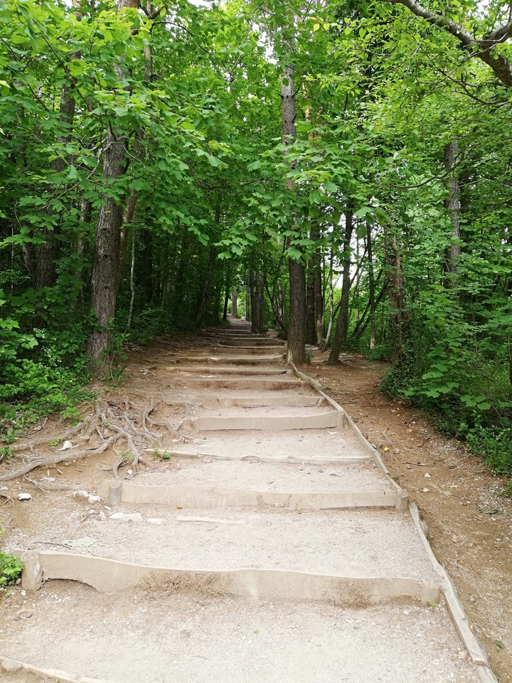 the path