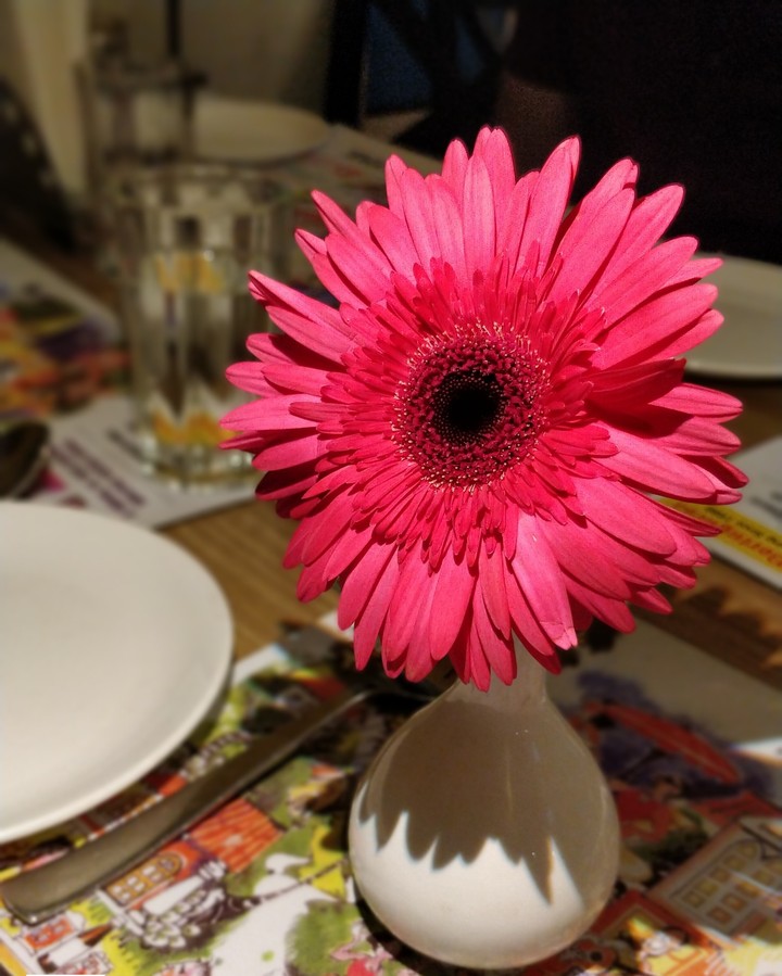 Flower Vase