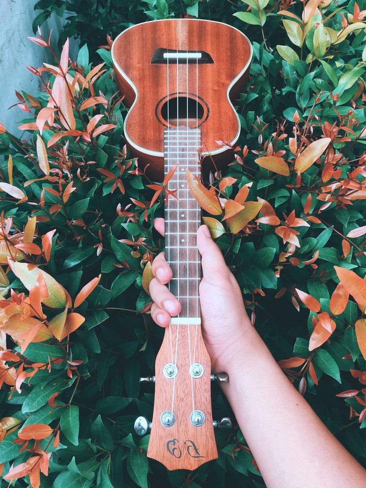 guitar