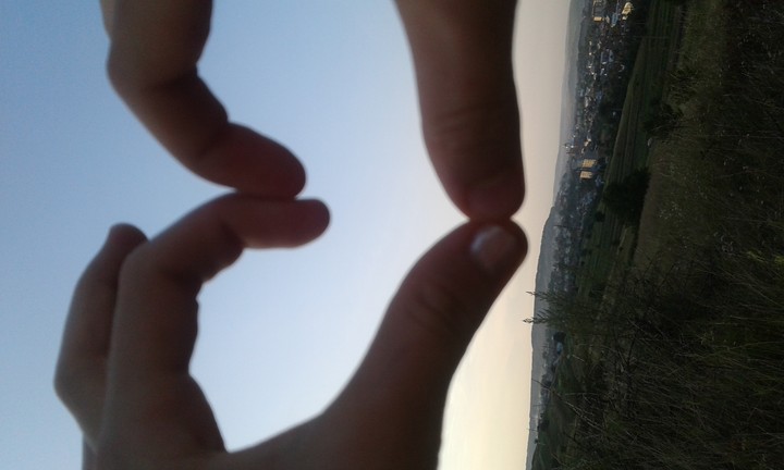 heart