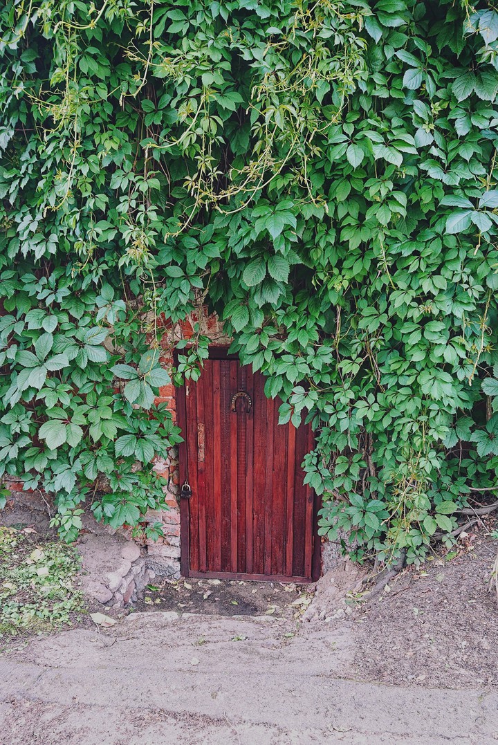 door