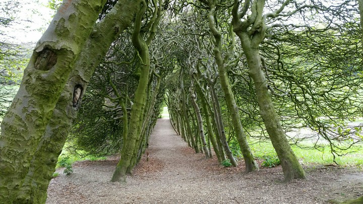 Groene Bedstee, Arnhem, The Netherlands.