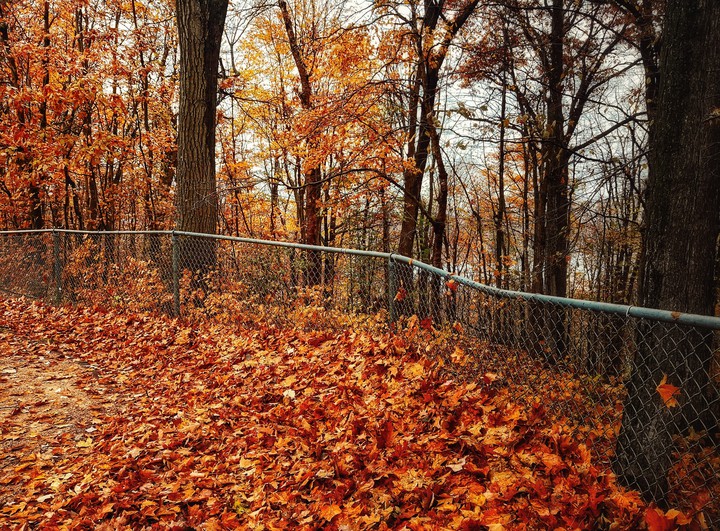 Fall