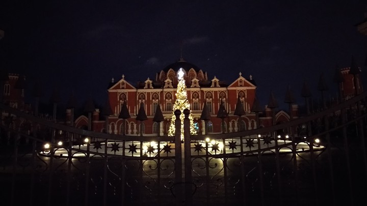 Петровский путевой дворец