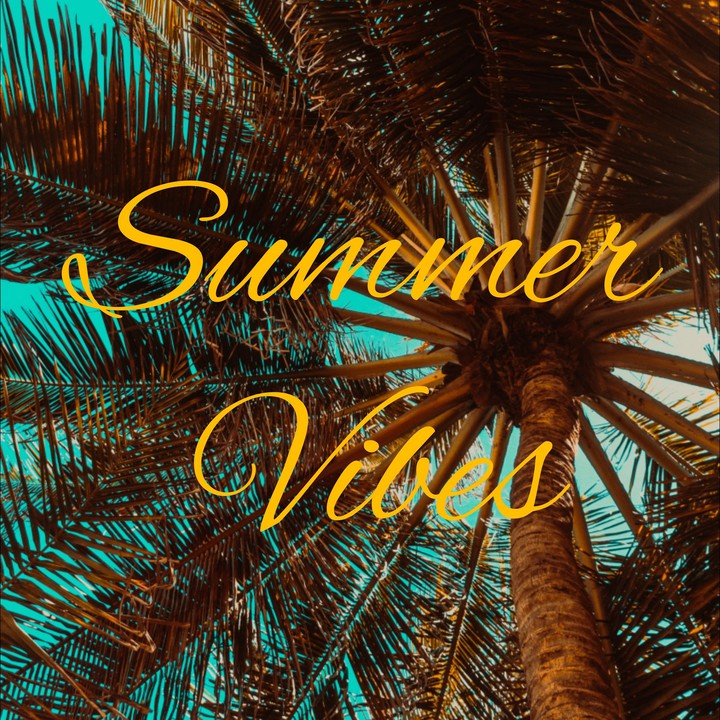 summer vibes