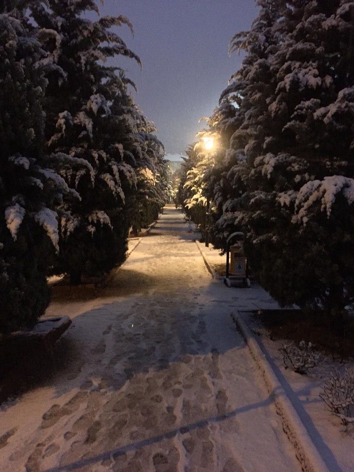 Snow