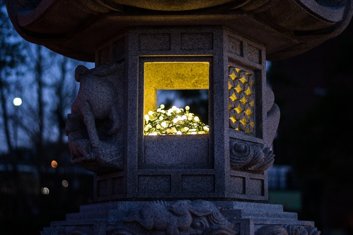 Garlands Sculpture Light