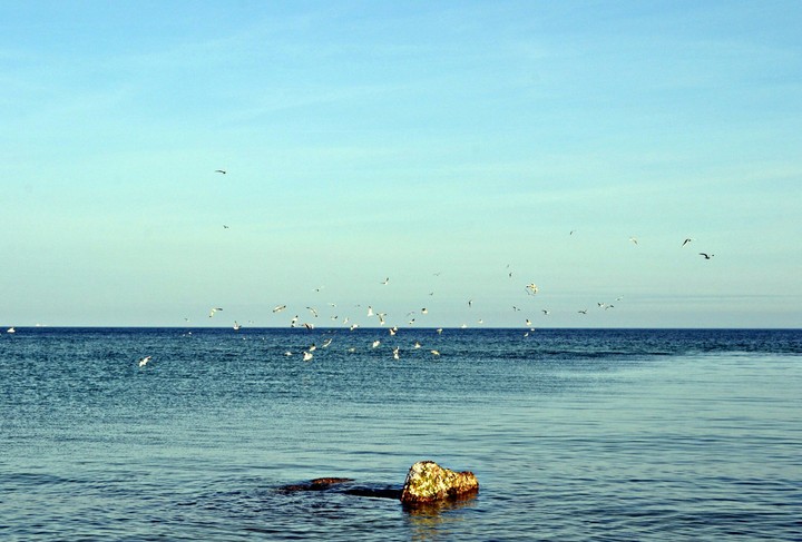 Odessa