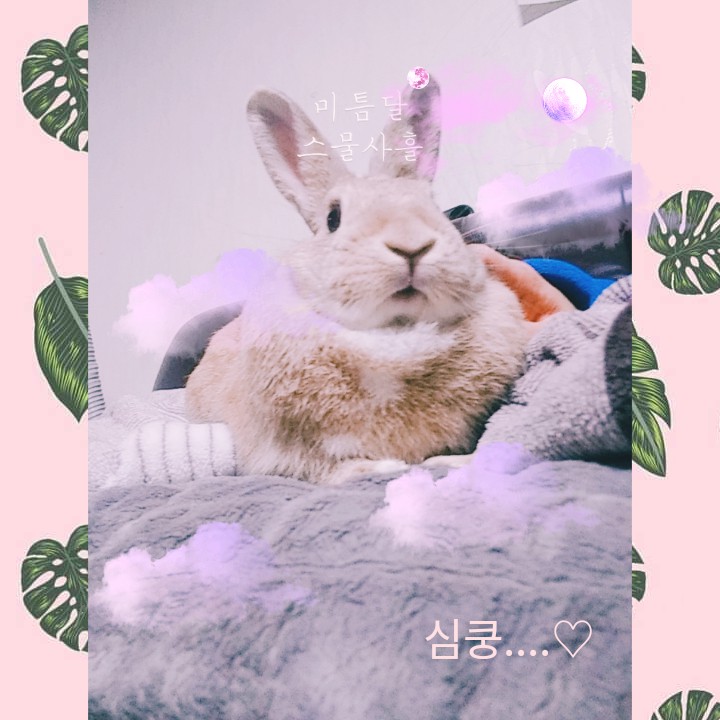 심쿵..♡