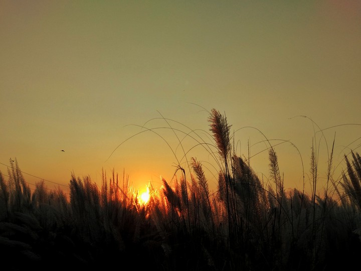 sunset