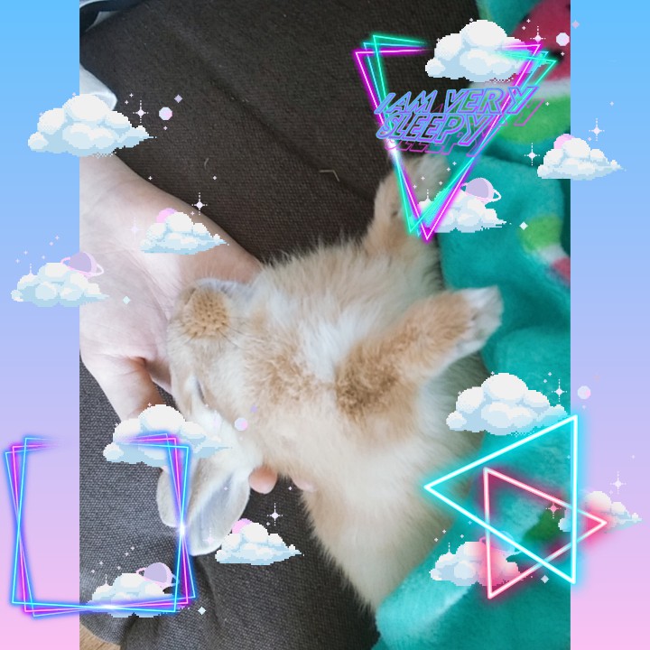 폭신 구름♡