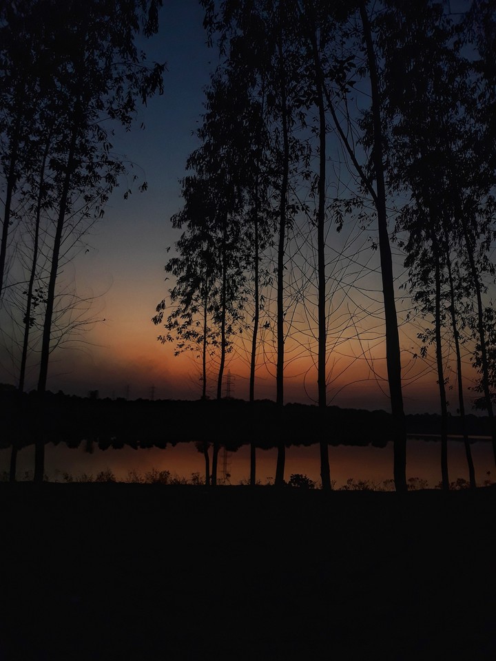 the artsea photography