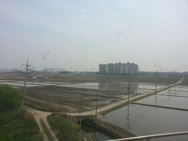 허전한 벌판