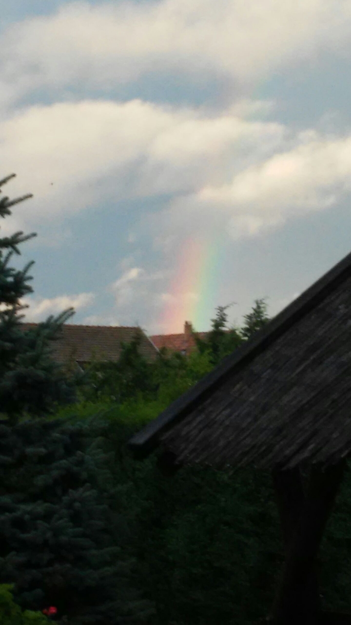 Szivárvány