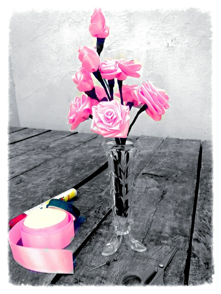 Pink roses