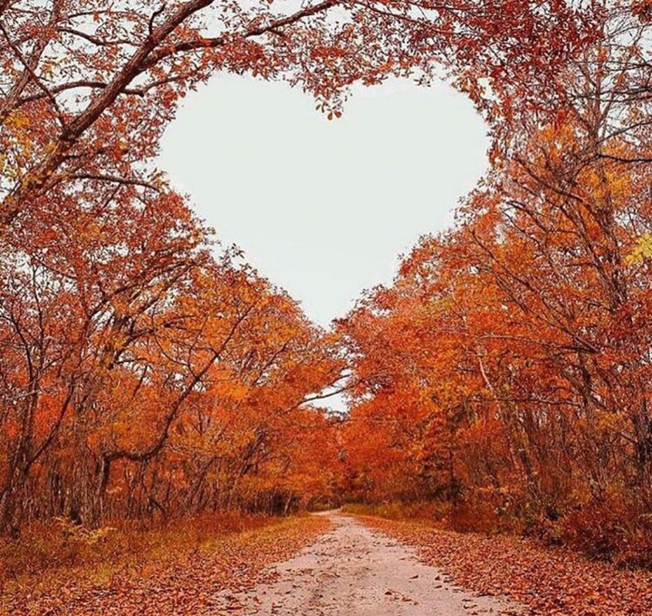 nature