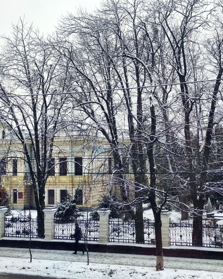 зимний день 