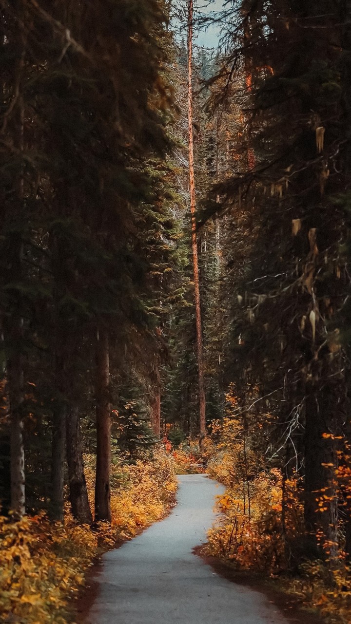 On the Road