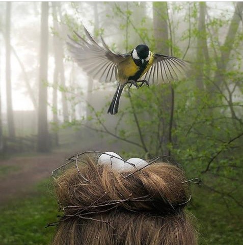 wonder